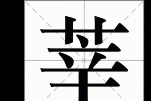 “莘莘学子是一家”打一正确的生肖，莘莘学子是什么生肖答案解释释义落实