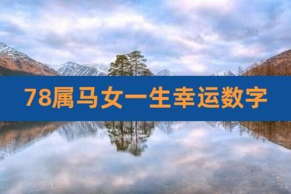 78年属马今年几岁 2014年属马的今年几岁