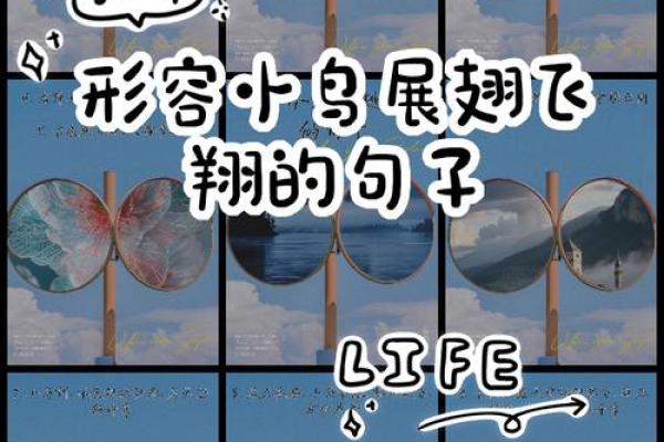 “蓝天白云鸟儿飞”打一准确动物生肖，蓝天白云鸟儿飞打一正确生肖答案解释释义落实