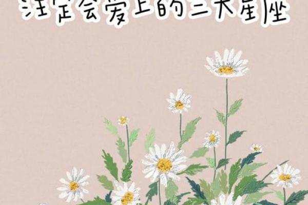 双子女的命运如何呢(双子座女命中注定的真爱)