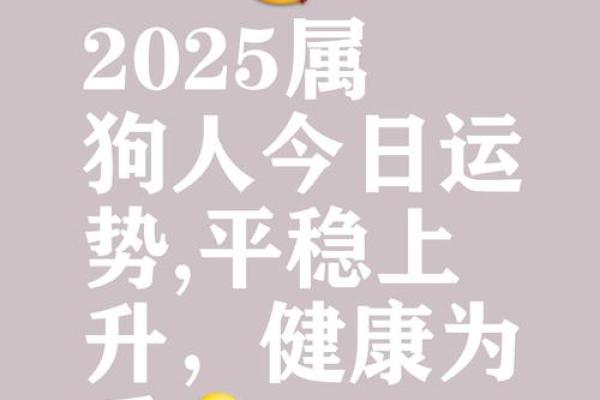 属狗2025年的财运_2025年属狗财运大揭秘财富运势如何提升