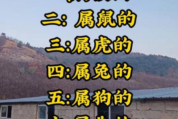 “两面三刀”打一个生肖动物，两面三刀打一正确动物答案解释释义落实