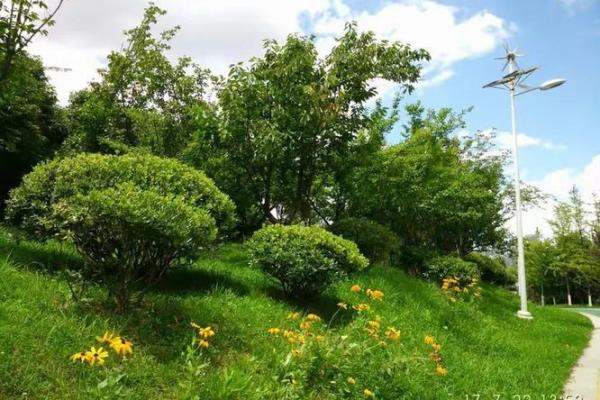 “烈日当空”打一个生肖动物，烈日当空打一准确生肖答案解释释义落实