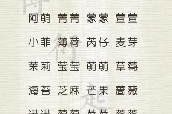 中午出生属兔的男孩应该怎么样取名字呢？姓名