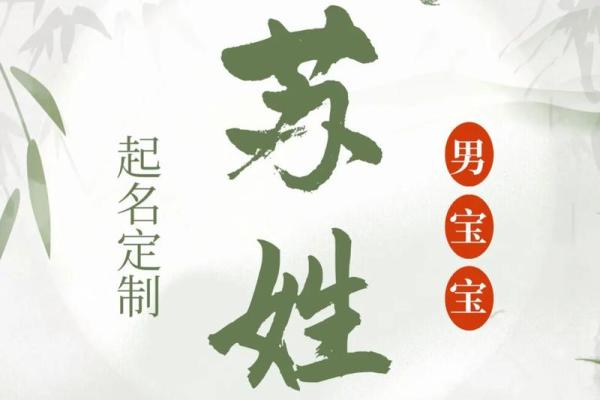 苏姓男孩名字大全-苏姓男孩起名字大全-苏姓名字大全姓名