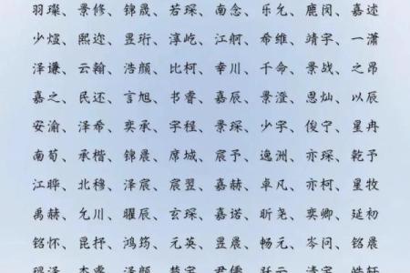 2019年3月27号申时出生的男孩应该起什么样的名字姓名