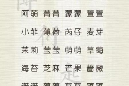 中午出生属兔的男孩应该怎么样取名字呢？姓名