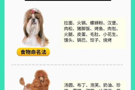 中午1点出生的属狗男孩如何取名，宜用什么字姓名