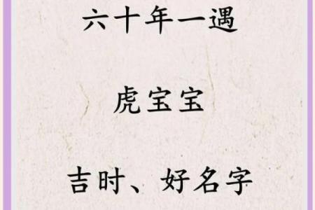 中午12点出生的属虎男孩如何起名，宜用什么字姓名