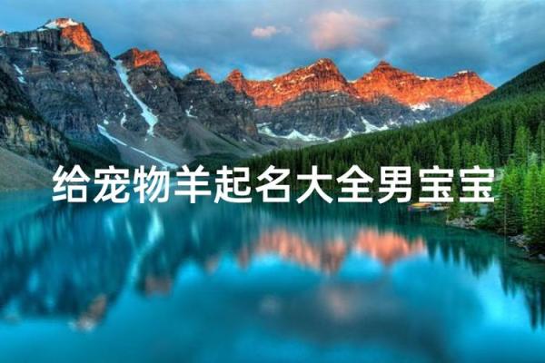 晚上十点出生的属羊男孩如何起名，适合什么字姓名