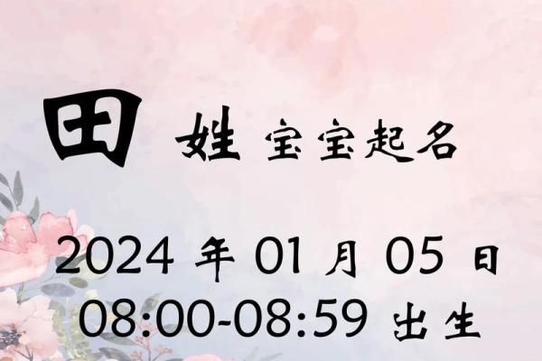 属兔辰时出生的男孩最好用什么字取名姓名