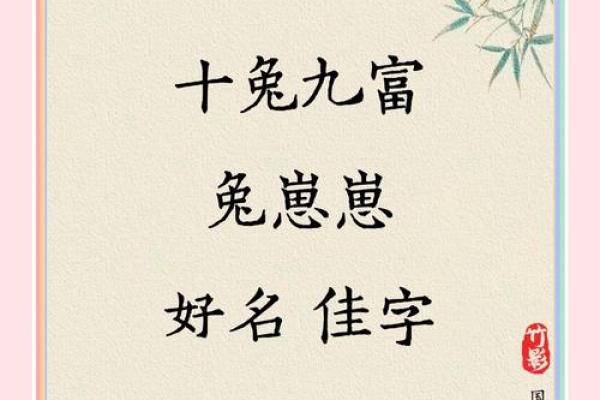 属兔辰时出生的男孩最好用什么字取名姓名