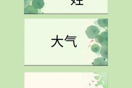 胡姓男孩名字大全-胡姓男孩起名字大全-胡姓名字大全姓名
