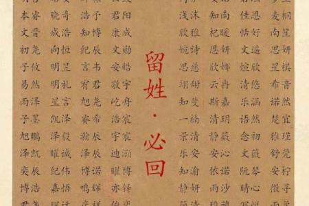 怎样给蛇辛时出生的男孩应该起名，宜用什么字姓名