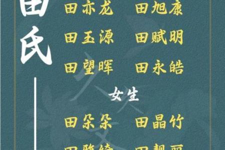 半夜出生的属虎男孩起什么名，应用什么字姓名