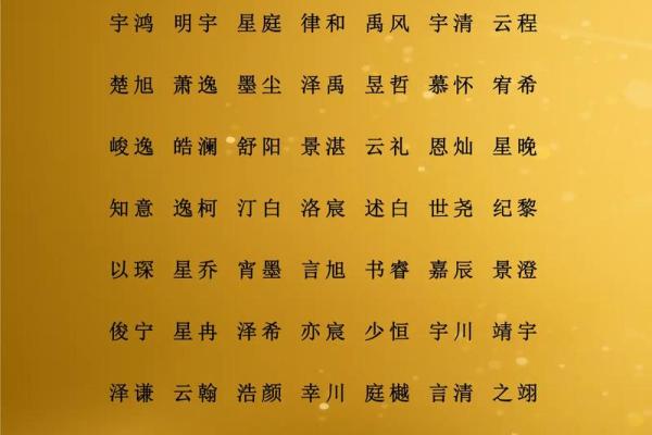 属猪巳时出生的男孩如何取名字，适合用什么字姓名