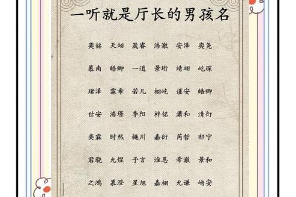 属猪巳时出生的男孩如何取名字，适合用什么字姓名