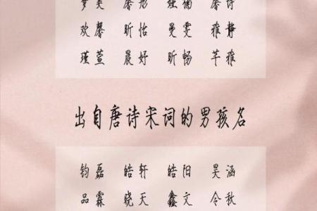 2019年4月11号寅时出生的男孩起名方法姓名