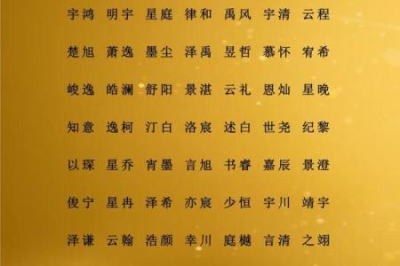 属猪巳时出生的男孩如何取名字，适合用什么字姓名