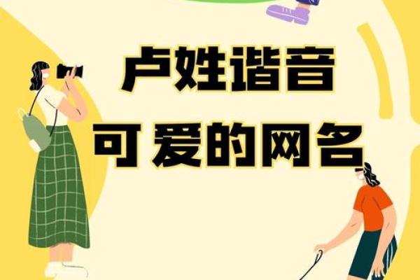 卢姓女孩名字大全-卢姓女孩起名字大全-卢姓名字大全姓名