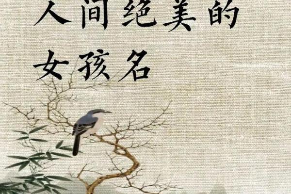 2021年7月5日出生的女孩取名大全,清新有诗意姓名