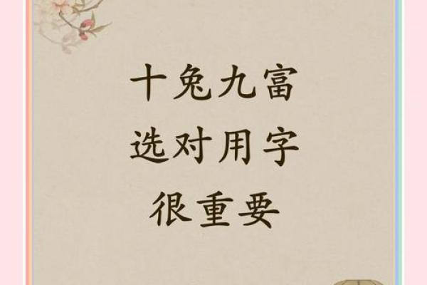 5月份出生的属兔男孩如何取名字姓名