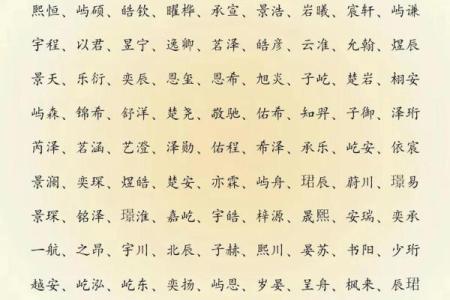 2019年4月26号丑时出生的男孩起名方法姓名