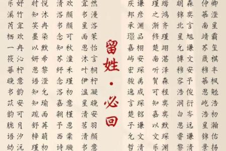 2019年4月19号卯时出生的男孩如何起名姓名