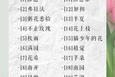 花姓男孩名字大全-花姓男孩起名字大全-花姓名字大全姓名