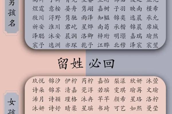 晚上12点出生的属蛇男孩怎样起名，宜用什么字姓名