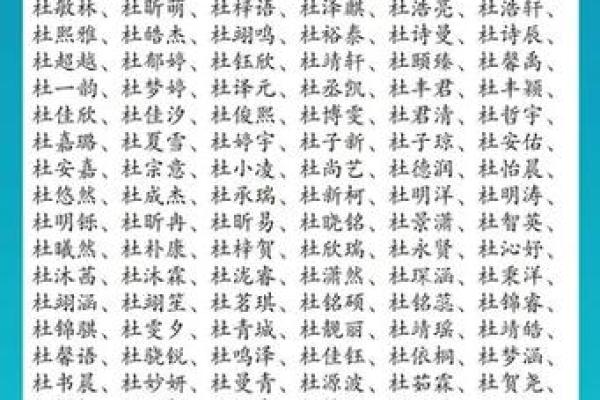 杜姓男孩名字大全-杜姓男孩起名字大全-杜姓名字大全姓名
