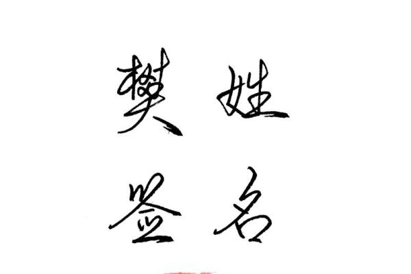 樊姓男孩名字大全-樊姓男孩起名字大全-樊姓名字大全姓名