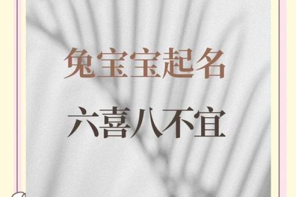 属兔卯时出生的男孩取名宜用什么字姓名