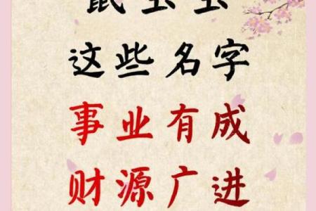 给凌晨2点出生的属鼠男孩取名字要用什么字姓名