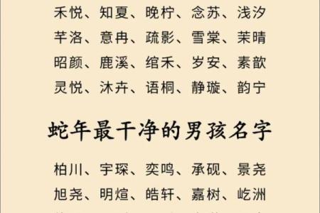 傍晚7点出生的属蛇男孩要如何起名，宜用什么字姓名
