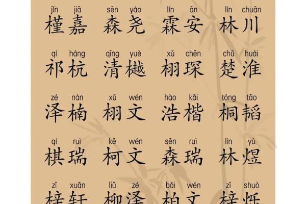 2019年3月22号卯时出生的男孩应该起什么样的名字姓名