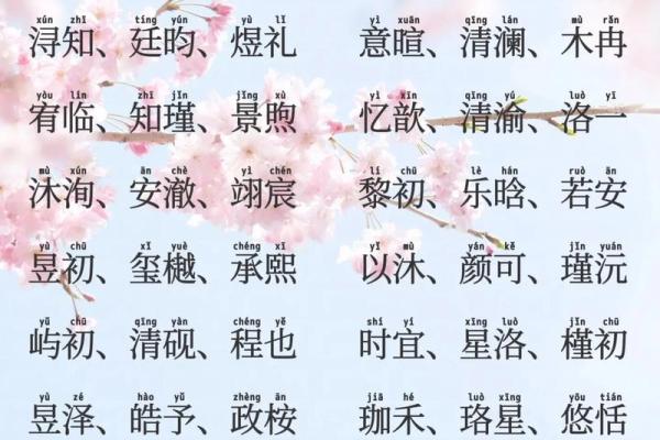 2019年5月31号丑时出生的男孩起名时要注意什么姓名