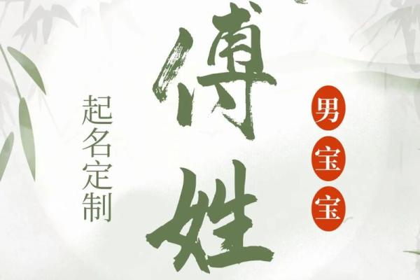 傅姓女孩名字大全-傅姓女孩起名字大全-傅姓名字大全姓名