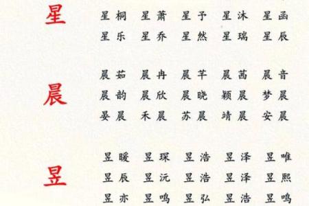 2019年3月24号辛时出生的男孩起名时要注意什么姓名