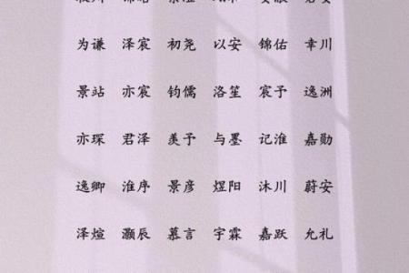孟姓男孩名字大全-孟姓男孩起名字大全-孟姓名字大全姓名