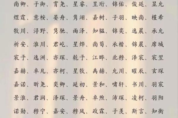给属兔巳时出生的男孩起名宜用什么字姓名