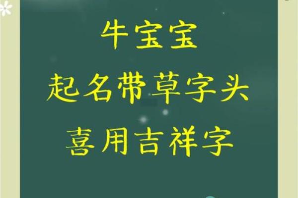 下午出生的属牛男孩起什么名字比较合适姓名