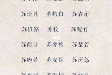 上午11点出生的属鸡男孩适合怎么样取名字姓名