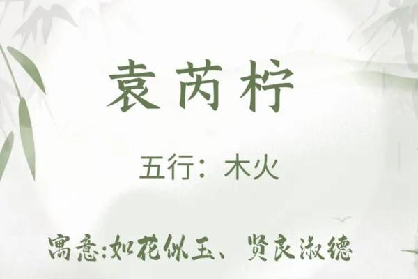 袁姓女孩名字大全-袁姓女孩起名字大全-袁姓名字大全姓名 袁姓女孩名字大全-袁姓女孩起名字大全-袁姓名字大全姓名
