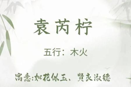 袁姓女孩名字大全-袁姓女孩起名字大全-袁姓名字大全姓名