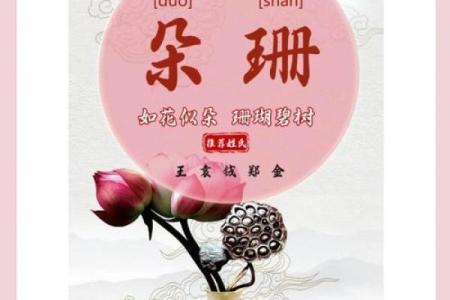 5月份出生的属兔女孩起什么名字好姓名