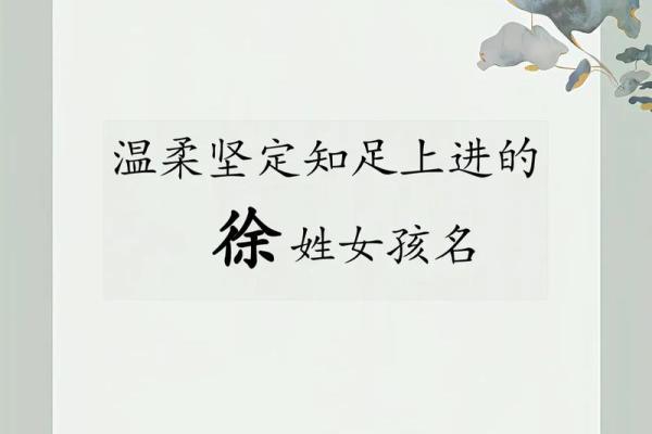 徐姓女孩名字大全-徐姓女孩起名字大全-徐姓名字大全姓名