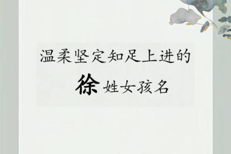 徐姓女孩名字大全-徐姓女孩起名字大全-徐姓名字大全姓名