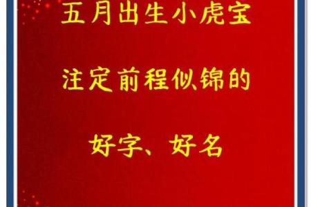 下午4点出生的属虎男孩起什么名，适合什么字姓名