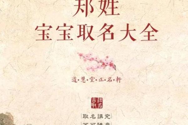 郑姓女孩名字大全-郑姓女孩起名字大全-郑姓名字大全姓名